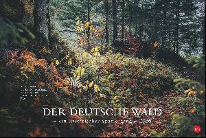 Kalendertipp: Der deutsche Wald – Ein literarischer Spaziergang 2026